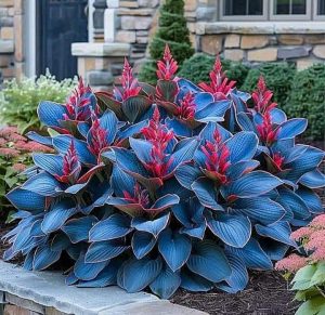 Хоста Грин Фог купить по цене от 669р. в интернет-магазине «Посадика» с доставкой почтой в в Кукморе и по всей России – [изображение №1].