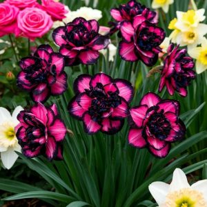 Нарцисс Золотая Корона купить по цене от 2000р. в интернет-магазине «Посадика» с доставкой почтой в в Кукморе и по всей России – [изображение №1].