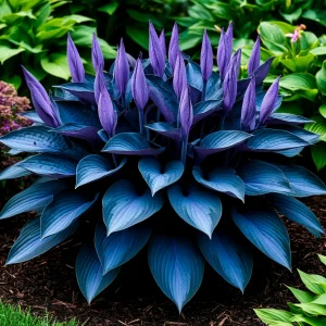 Хоста Сикрет Гров купить по цене от 570р. в интернет-магазине «Посадика» с доставкой почтой в в Кукморе и по всей России – [изображение №1].