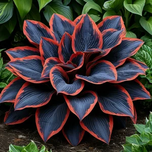 Хоста Солнечный Агат купить по цене от 440р. в интернет-магазине «Посадика» с доставкой почтой в в Кукморе и по всей России – [изображение №1].